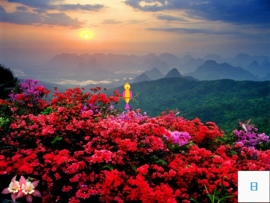 11敬畏自然_第2页