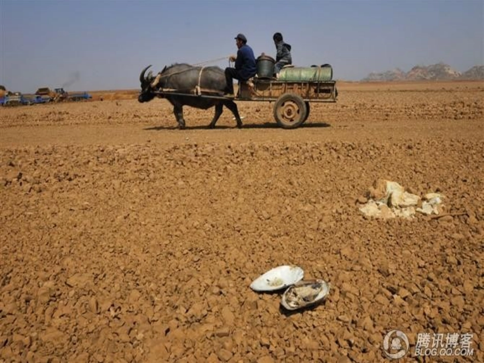 建设资源节约型、环境友好型社会_第2页