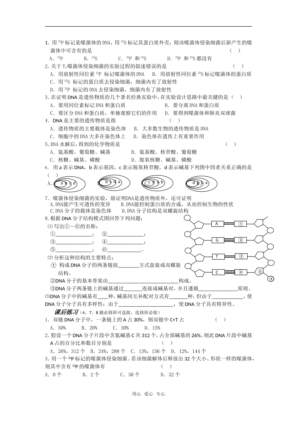 江苏阜宁县明达中学高一生物期末复习教学案（基因的本质）_第3页