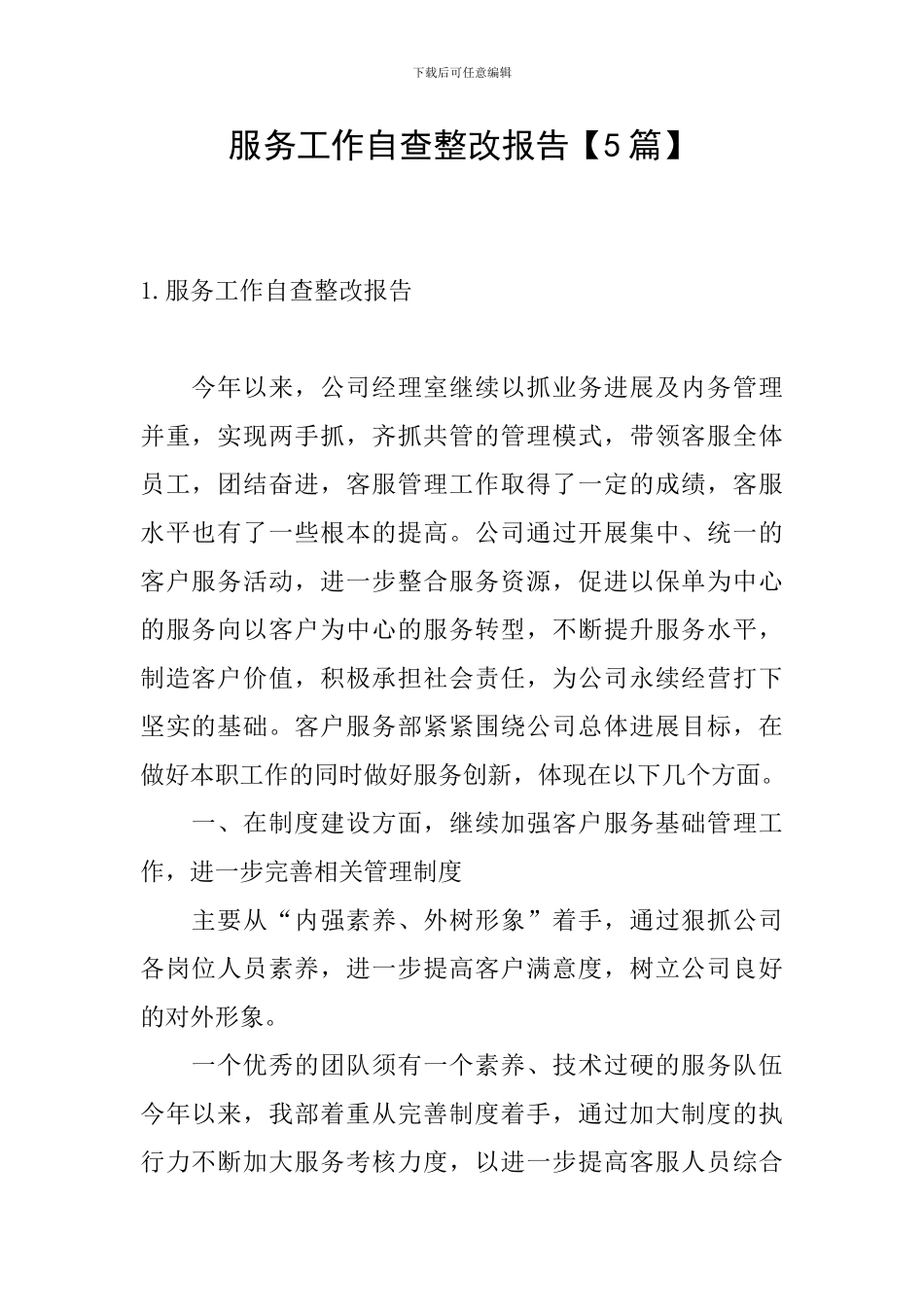 服务工作自查整改报告_第1页