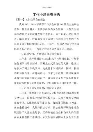 工作业绩自查报告