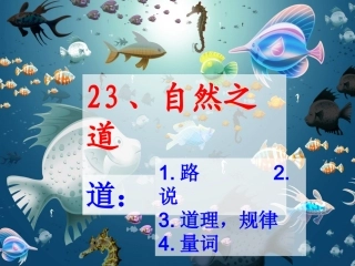 23、自然之道教学设计课件
