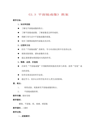 辽宁省丹东七中八年级物理《2.3 平面镜成像》教案 人教新课标版