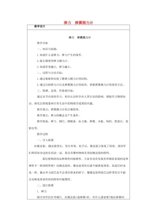 河南省郑州市中考物理《弹力 弹簧测力计》复习教案-人教版初中九年级全册物理教案