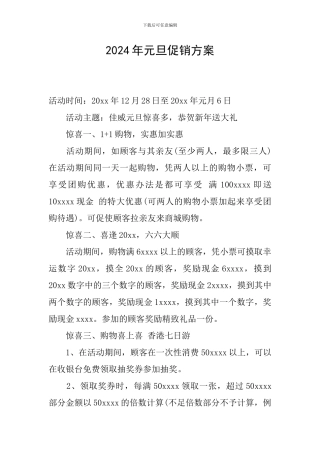 2024年元旦促销方案