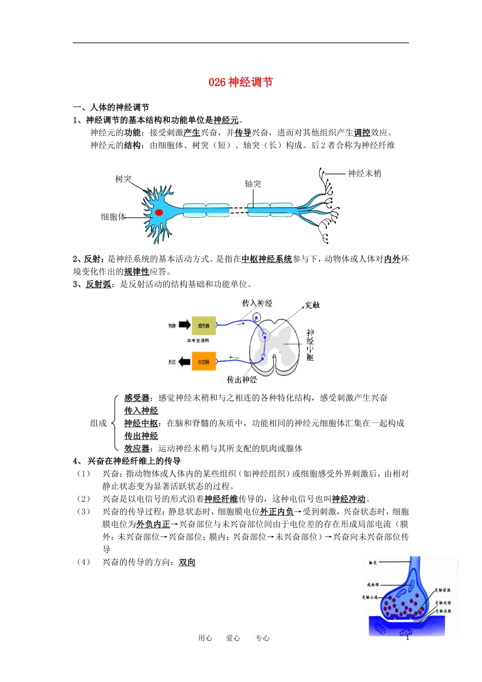 河北省广平一中高三生物总复习学案 026 神经调节（艺术班）_第1页