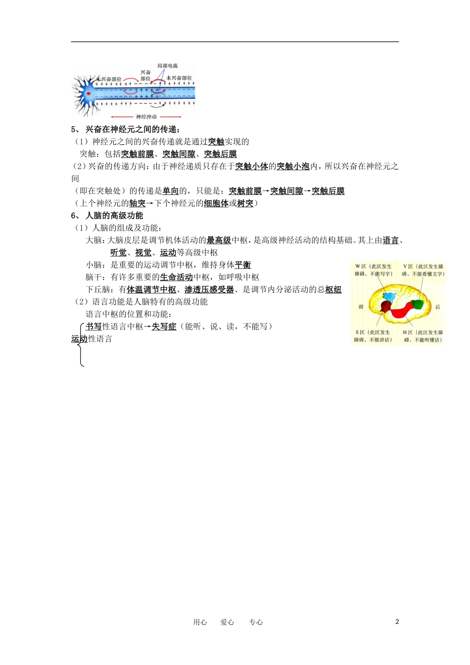 河北省广平一中高三生物总复习学案 026 神经调节（艺术班）_第2页