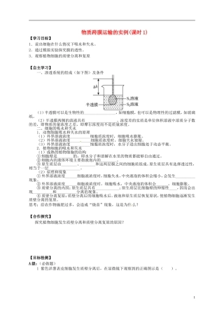 湖南省隆回县第二中学高中生物 第四章 物质跨膜运输的实例（课时1）学案 新人教版必修1