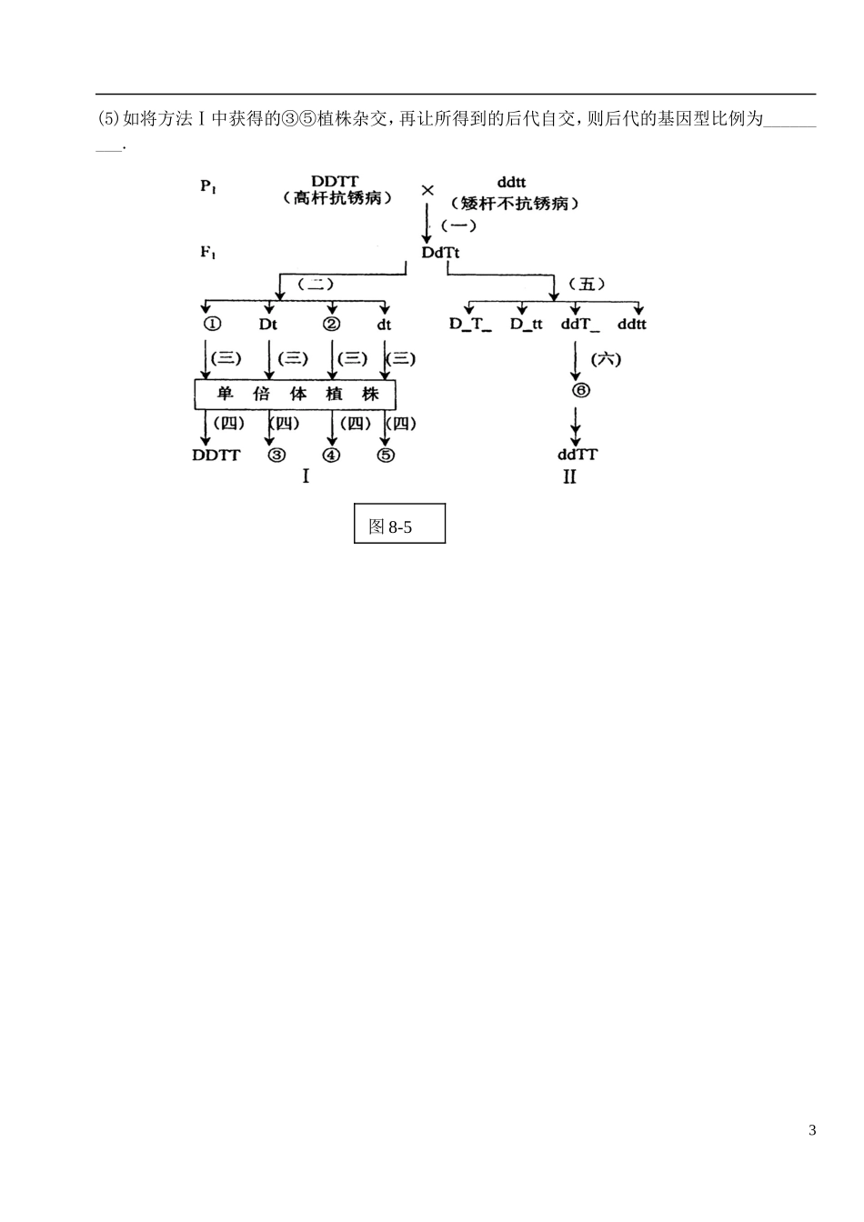 河北省高碑店市第三中学高三生物 杂交育种与基因工程复习学案_第3页