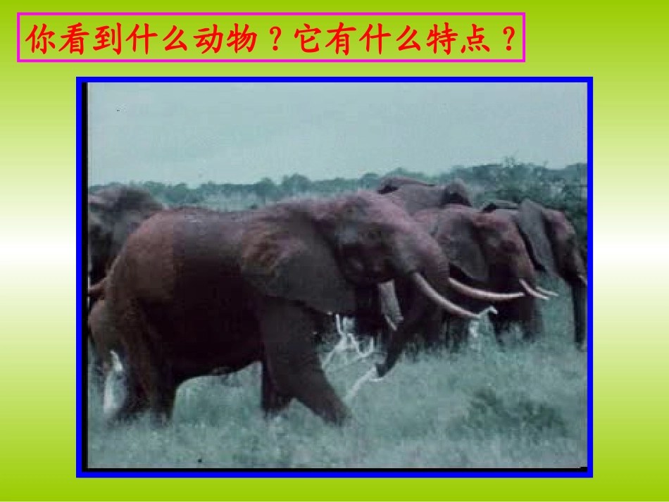 人美版小学美术一年级下册《可爱的动物》课件-_第2页