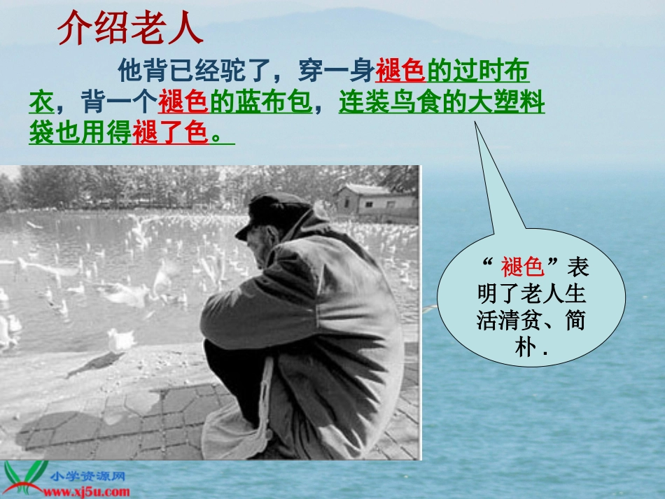 21老人与海鸥ppt_第2页