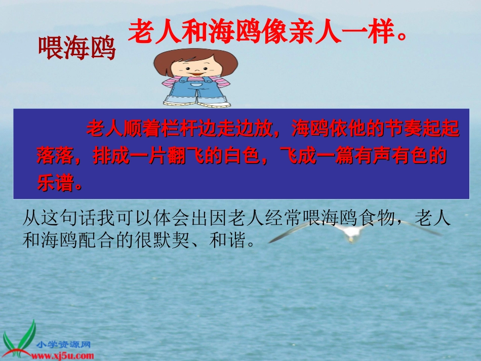 21老人与海鸥ppt_第3页
