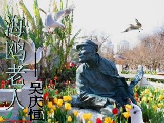 21老人与海鸥ppt