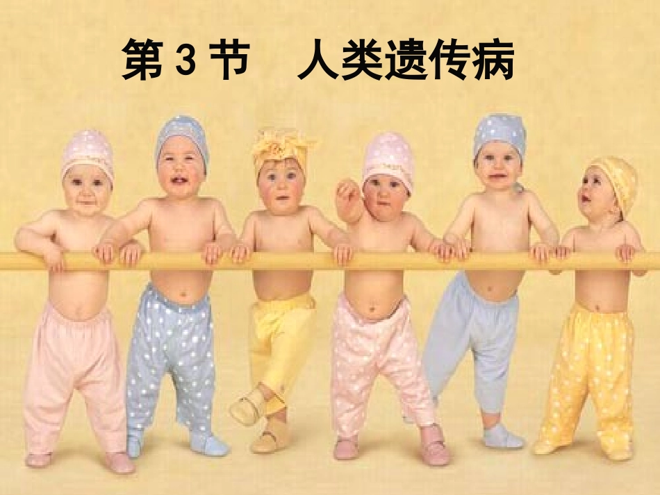 第5章第3节人类的遗传病_第1页