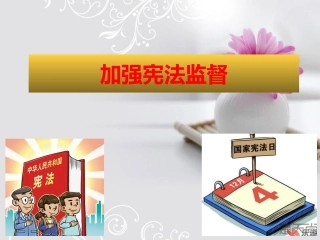 加强宪法监督-(3)