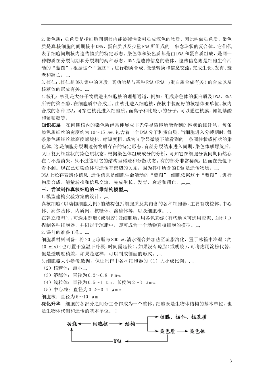 河北省邯郸四中高中生物《33细胞核系统的控制中心》导学案 新人教版必修1_第3页