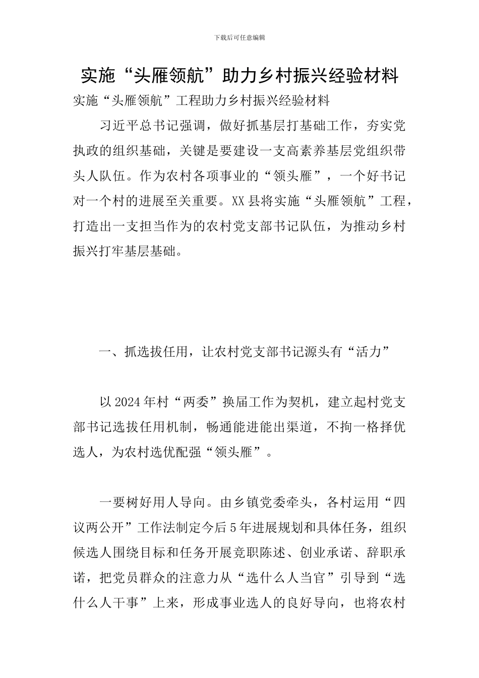 实施“头雁领航”助力乡村振兴经验材料_第1页