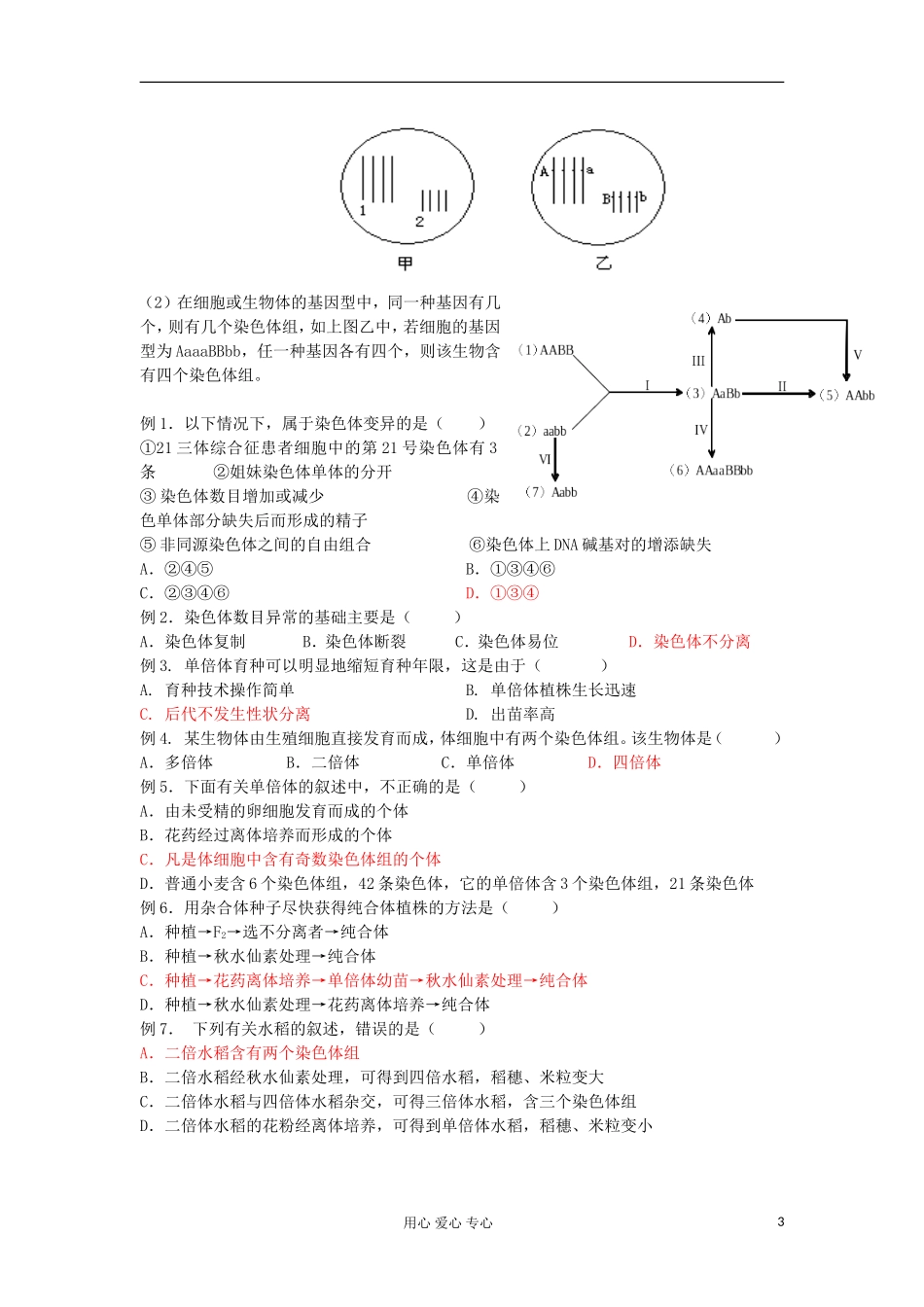 江苏淮阴中学高中生物《染色体变异及其应用》学案4 苏教版必修2_第3页