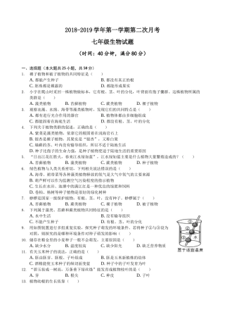 2018-2019临清市七年级上册生物第二次月考试题及答案
