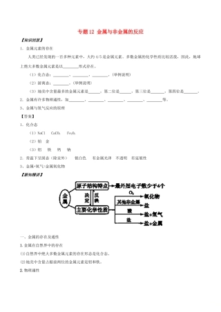 高中化学 初高中衔接 专题12 金属与非金属的反应学案-人教版高一全册化学学案