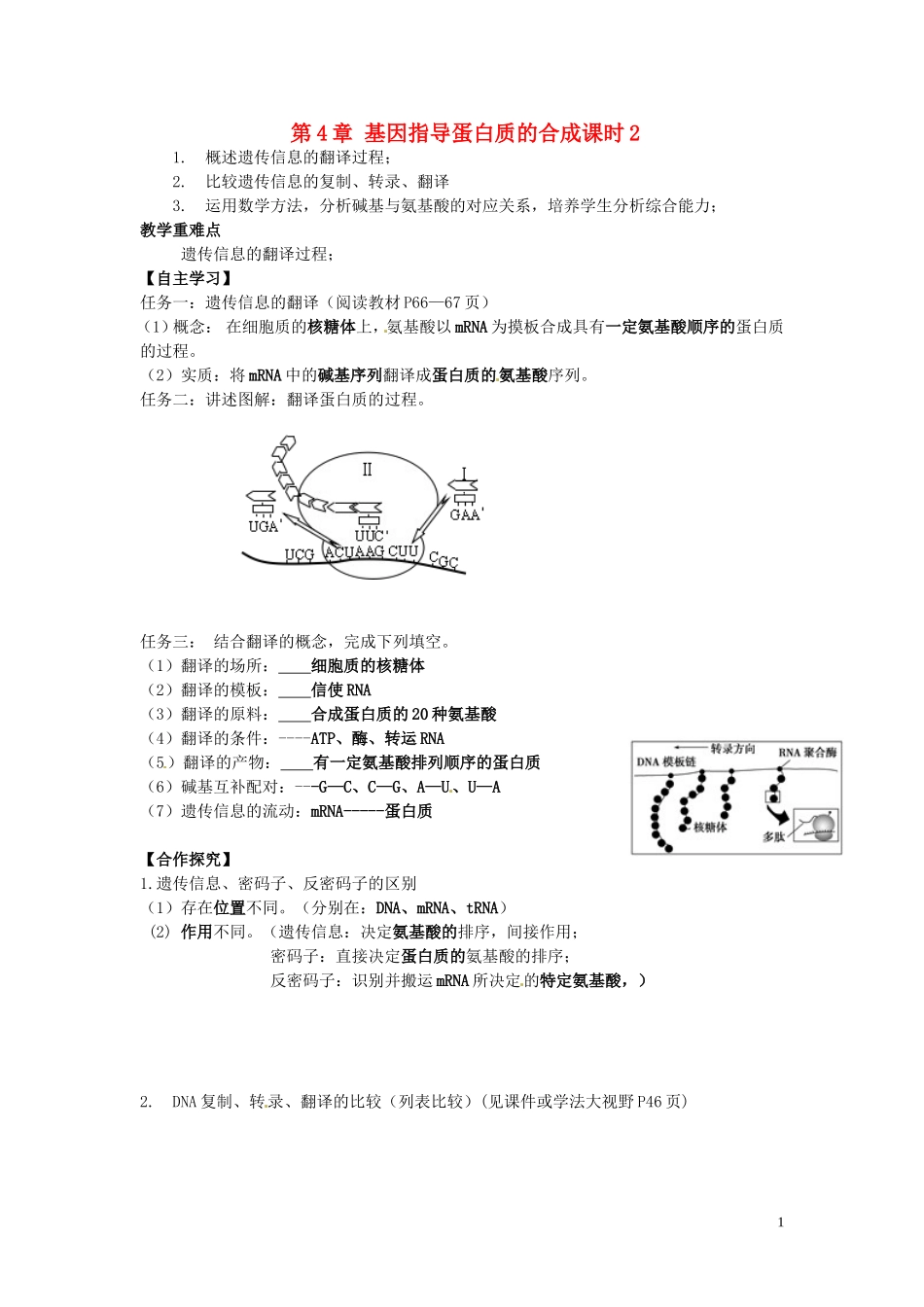 湖南省隆回县第二中学高中生物 第4章 基因指导蛋白质的合成课时2导学案 新人教版必修2_第1页
