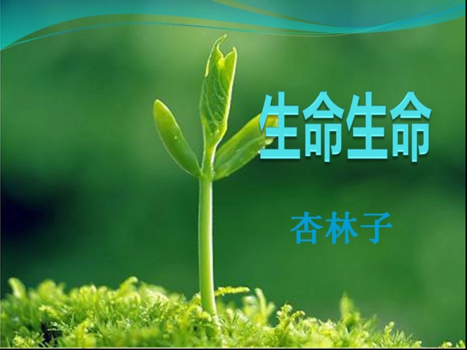 生命生命自己的2_第1页