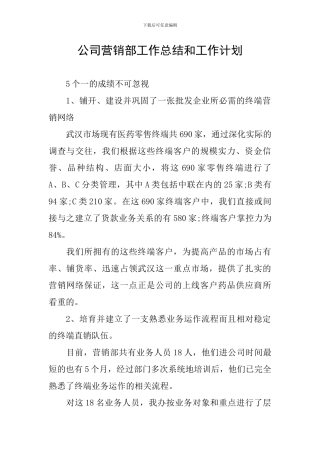 公司营销部工作总结和工作计划