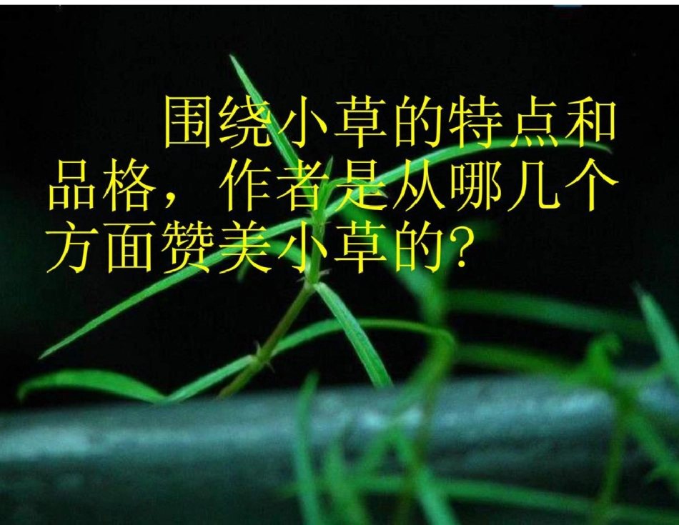 教科版四年级上册《小草》PPT课件.兰晓娟_第2页