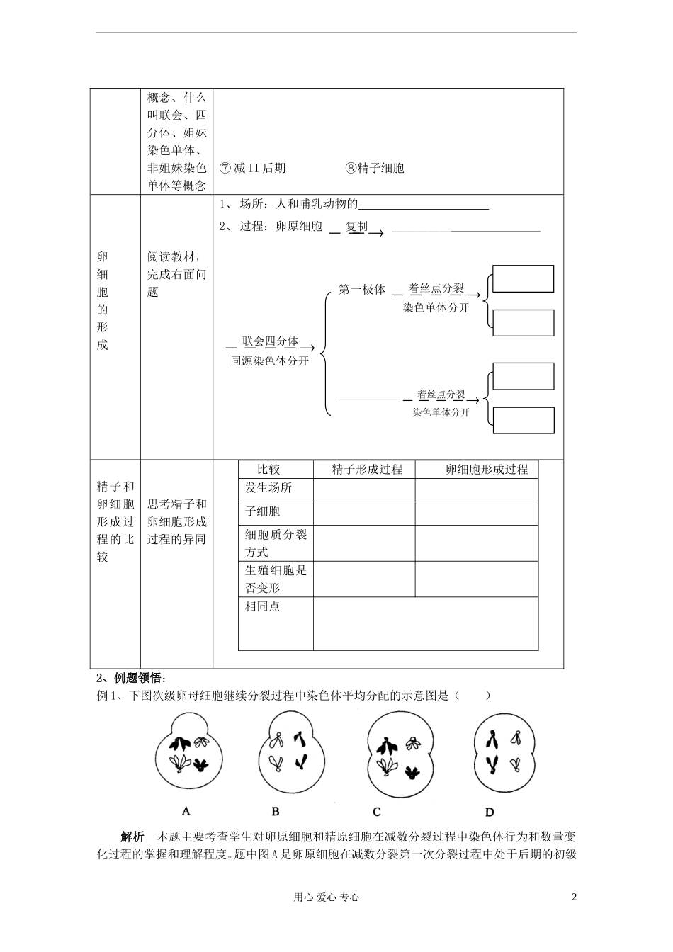 江苏淮阴中学高中生物《减数分裂》学案4 苏教版必修2_第2页