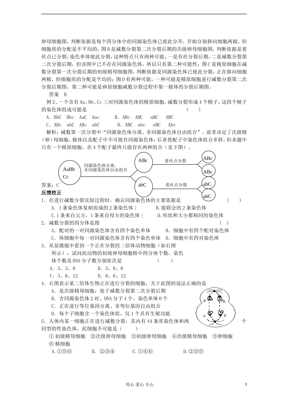 江苏淮阴中学高中生物《减数分裂》学案4 苏教版必修2_第3页