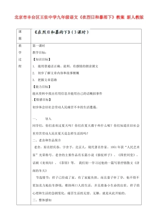 北京市丰台区王佐中学九年级语文上册《在烈日和暴雨下》教案 新人教版