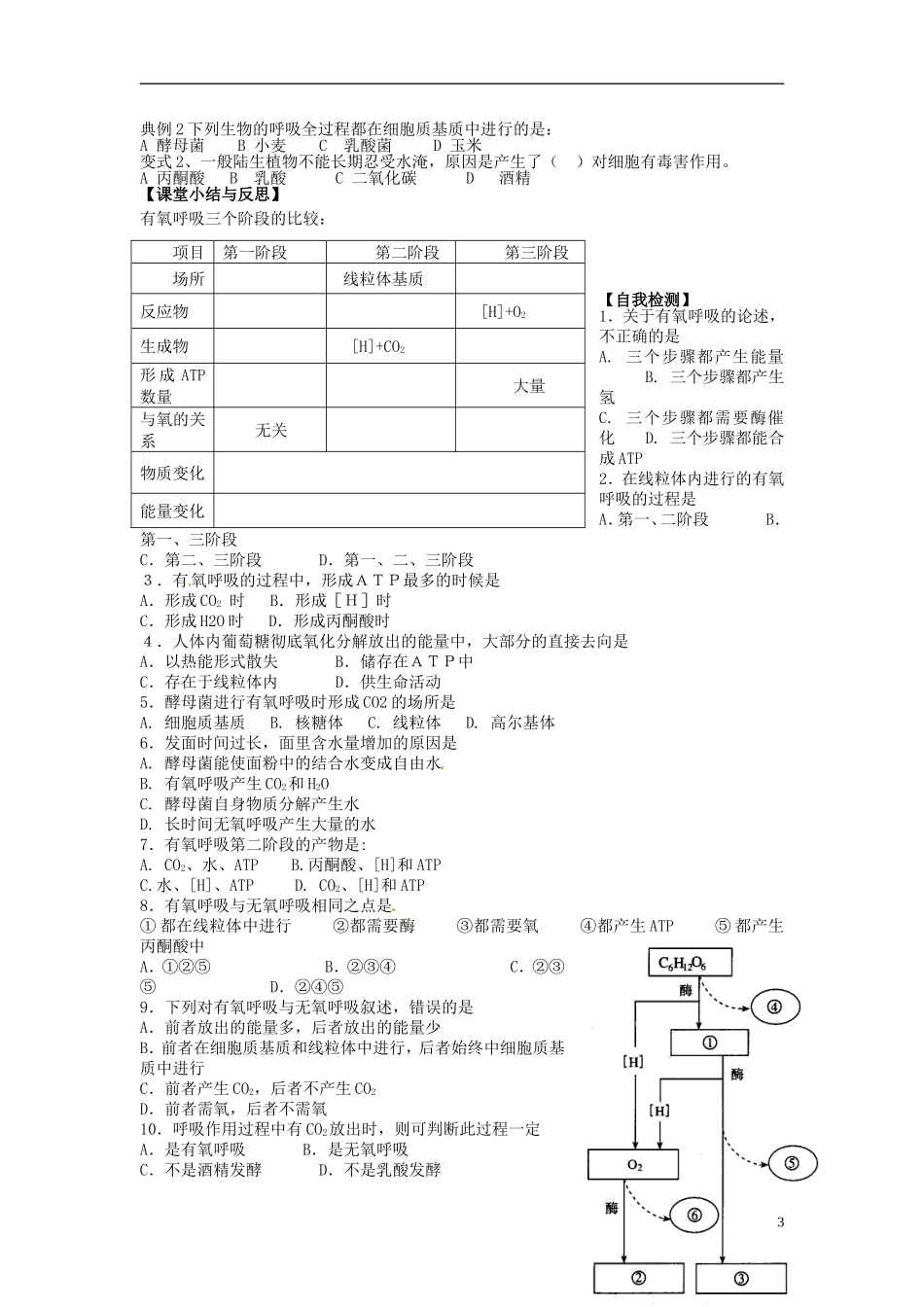 河北省唐山市开滦第二中学高中生物 5.3.2 ATP的主要来源 细胞呼吸导学案 新人教版必修1_第3页