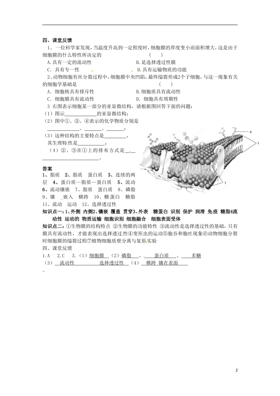 河北邯郸市第四中学高中生物 4.2生物膜学案 新人教版必修1_第2页