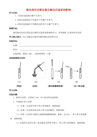 高中化学 4.2 催化剂对过氧化氢分解反应速率学案3 苏教版选修6-苏教版高中选修6化学学案