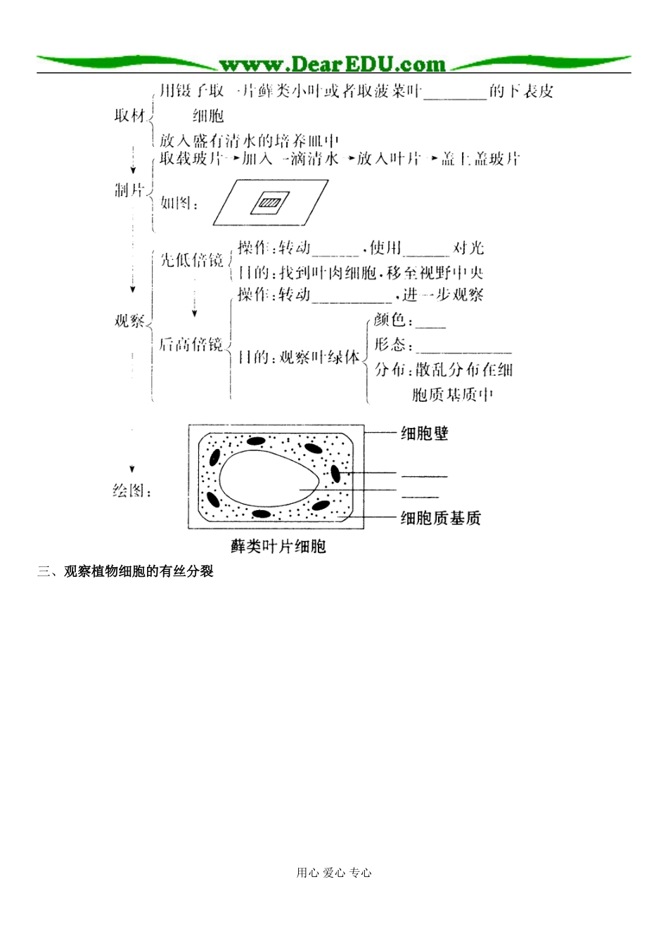 观察植物细胞的有丝分裂_第2页