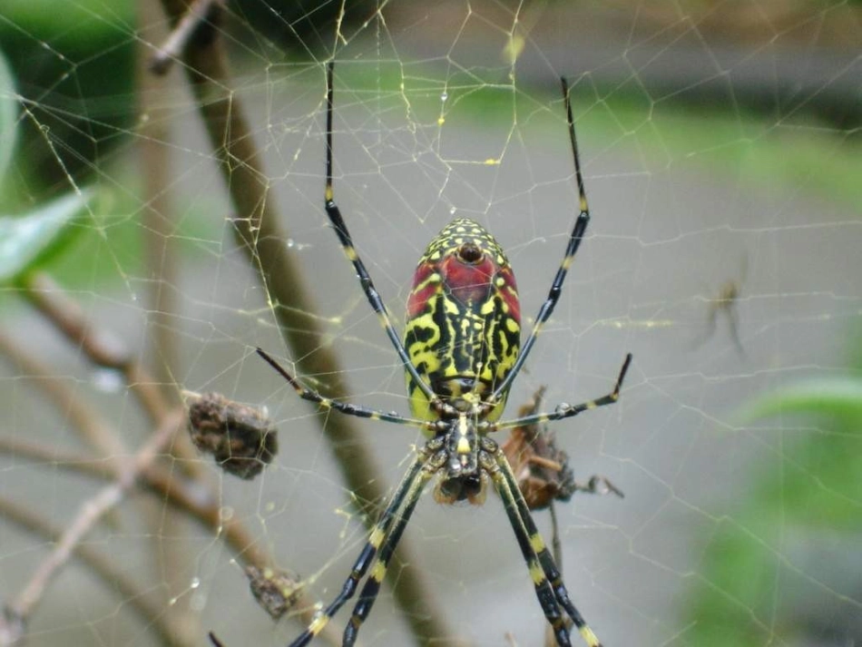 第三节先天性行为和学习_第3页