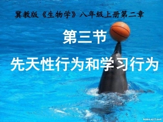 第三节先天性行为和学习