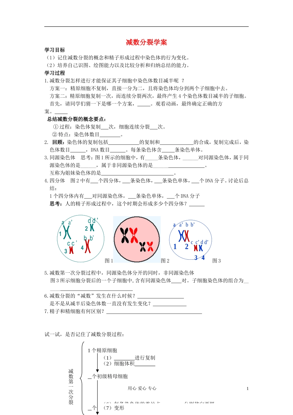 江苏淮阴中学高中生物《减数分裂》学案8 苏教版必修2_第1页
