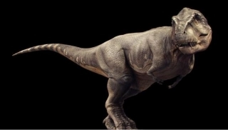 被压扁的沙子-(2)