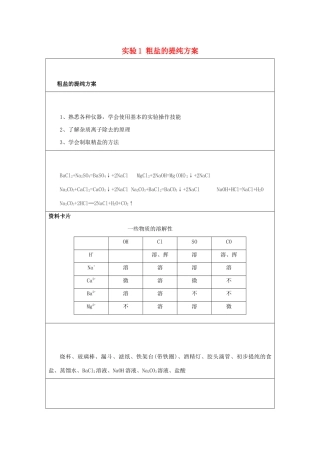 高一化学 实验1 粗盐的提纯方案学案-人教版高一全册化学学案
