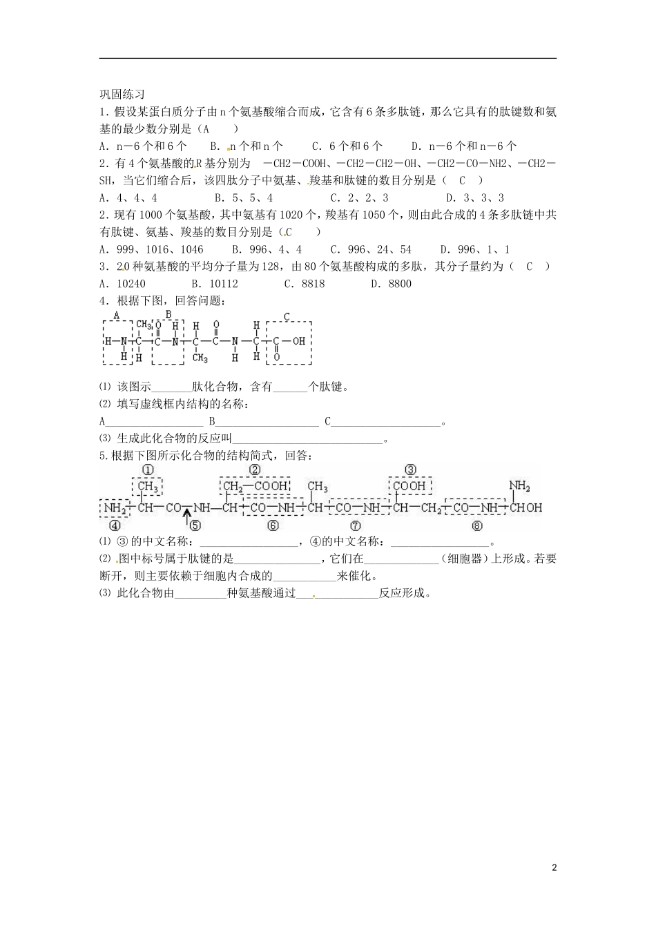 河北省邯郸四中高二生物《2.2蛋白质》学案_第2页