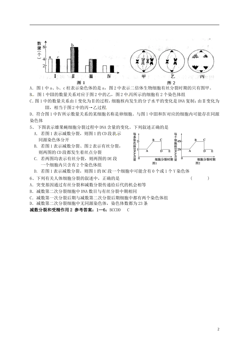 河北省承德市隆化县存瑞中学高考生物一轮复习《减数分裂和受精作用》学案（2）_第2页