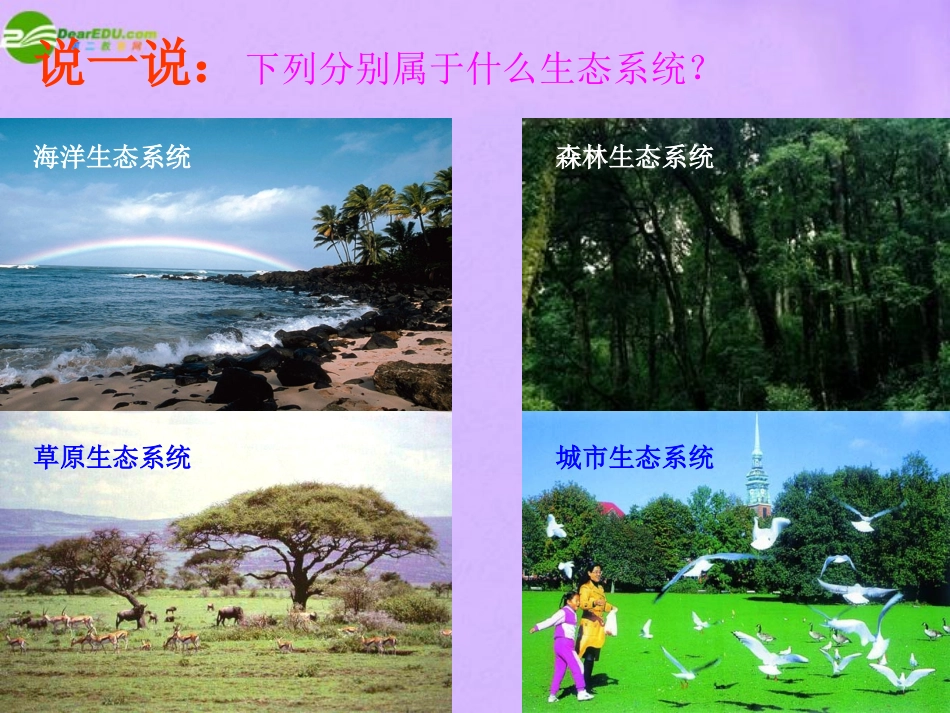 科学：第八章第3节生物圈（华师大版七年级上）_第2页