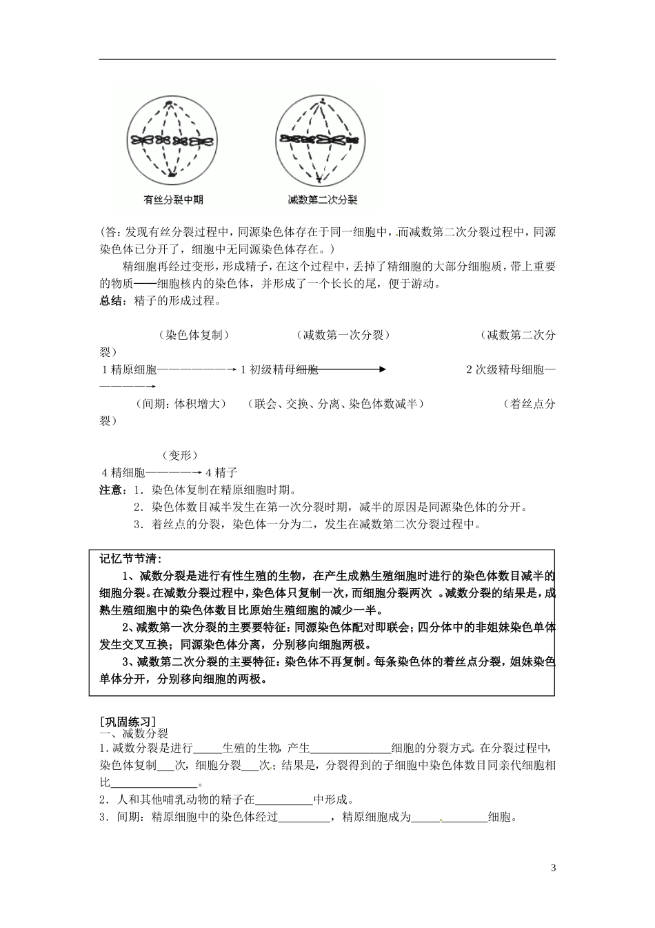 湖南省怀化市湖天中学高中生物 2.1 减数分裂和受精作用（第一课时）教学案 新人教版必修2_第3页