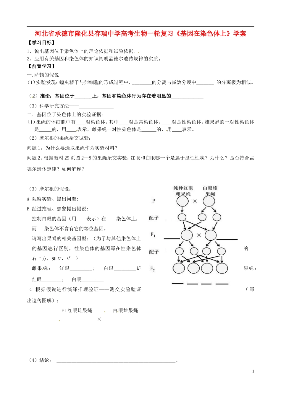 河北省承德市隆化县存瑞中学高考生物一轮复习《基因在染色体上》学案_第1页