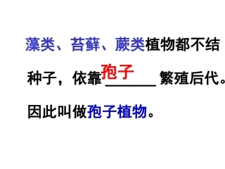 第二节种子植物