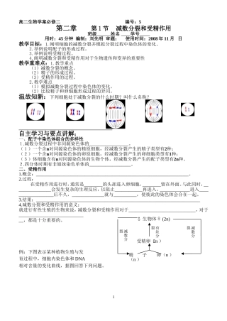 减数分裂和受精作用2