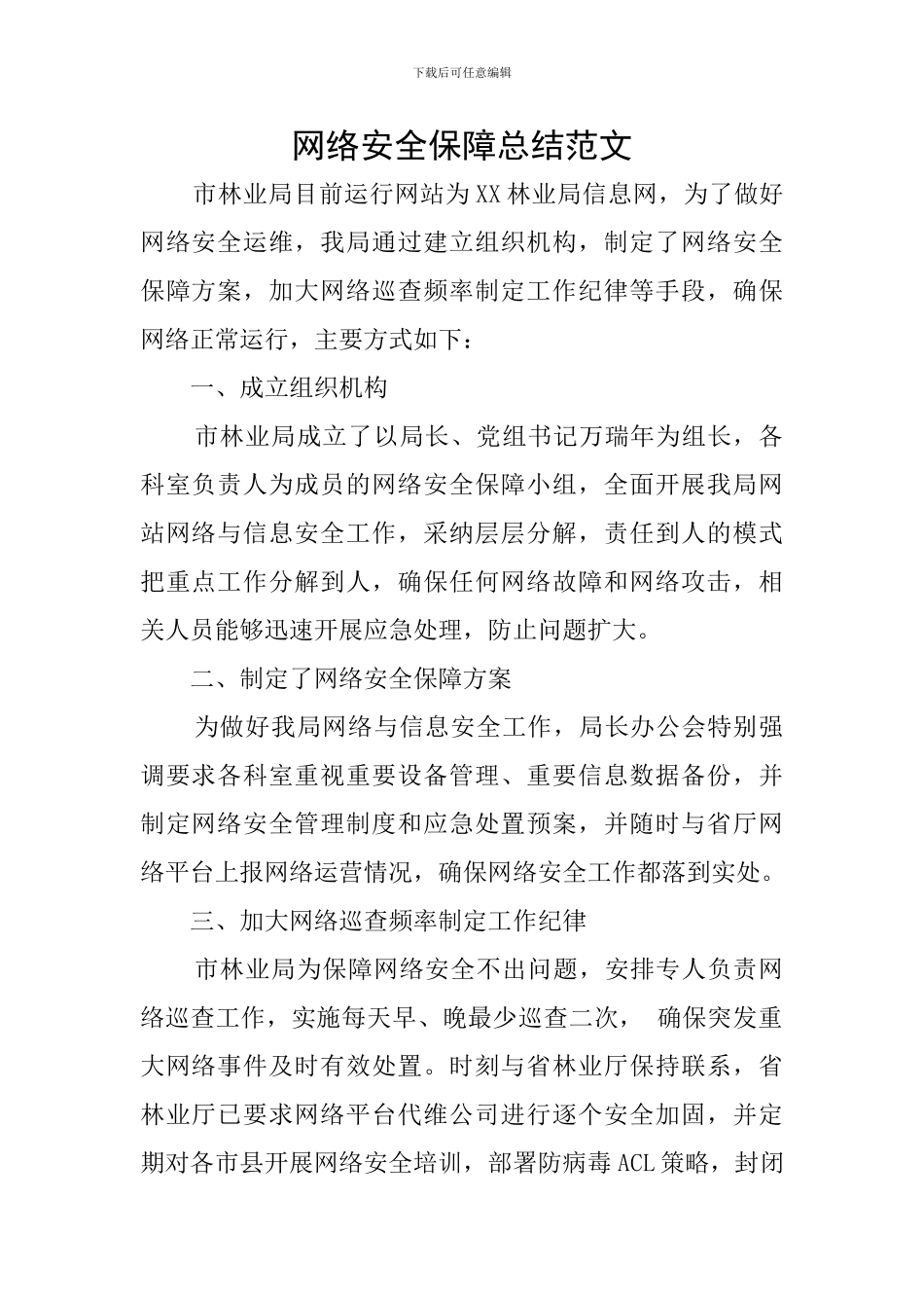 网络安全保障总结范文_第1页