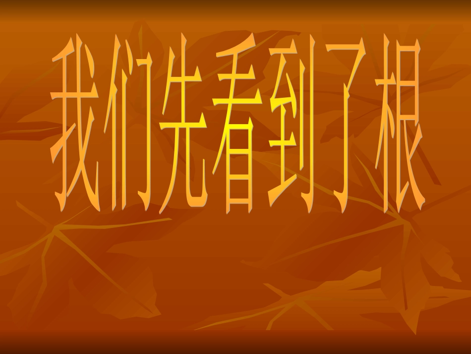 我们先看到了根_第1页