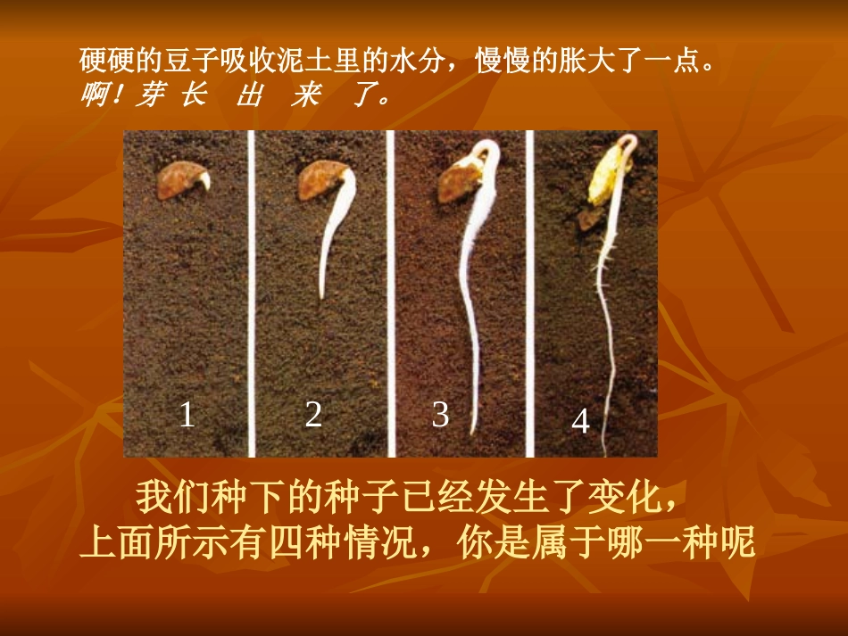 我们先看到了根_第2页